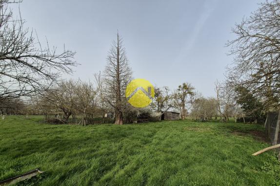  MAISON 200M² AVEC GRAND TERRAIN 