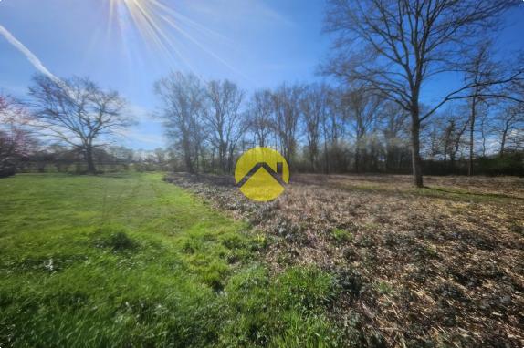 terrain possibilité de diviser