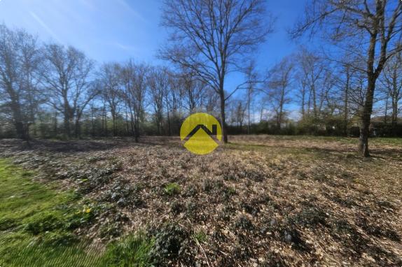 terrain possibilité de diviser