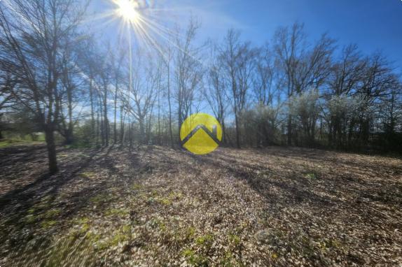 terrain possibilité de diviser