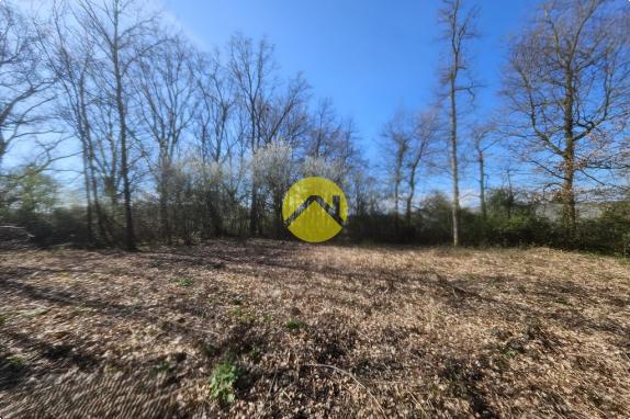 terrain possibilité de diviser