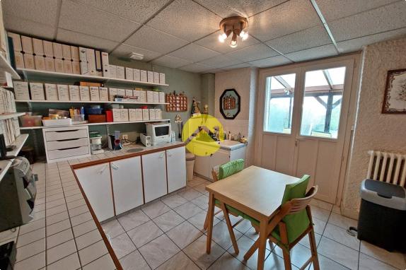 DEMEURE CENTRE VILLE AVEC TERRAIN