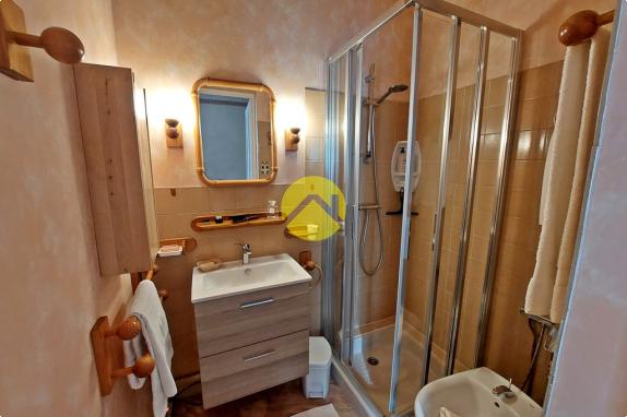 DEMEURE CENTRE VILLE AVEC TERRAIN