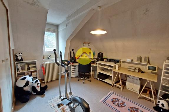 DEMEURE CENTRE VILLE AVEC TERRAIN