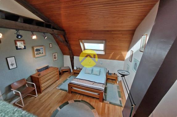 DEMEURE CENTRE VILLE AVEC TERRAIN