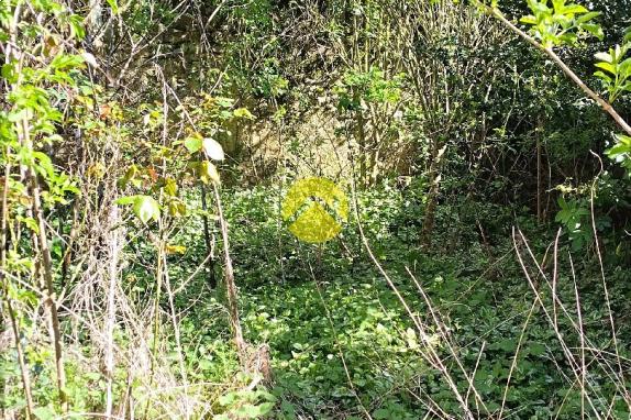 Grande maison à petit prix