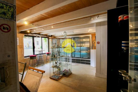 Galerie d'art avec appartement 1ch