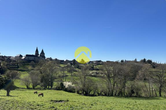 MAISON EN PIERRE A RENOVER
