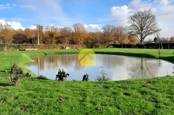 MAISON + ROULOTTES (activités)