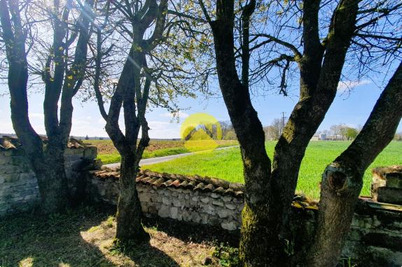 Au coeur de la campagne