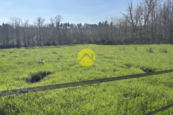 Belle maison avec un grand terrain 