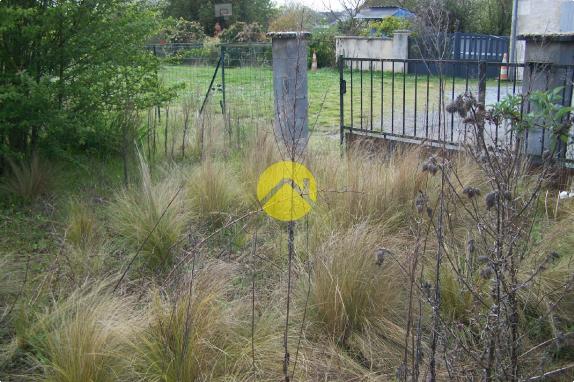 UN PETIT COIN DE JARDIN AU CALME 