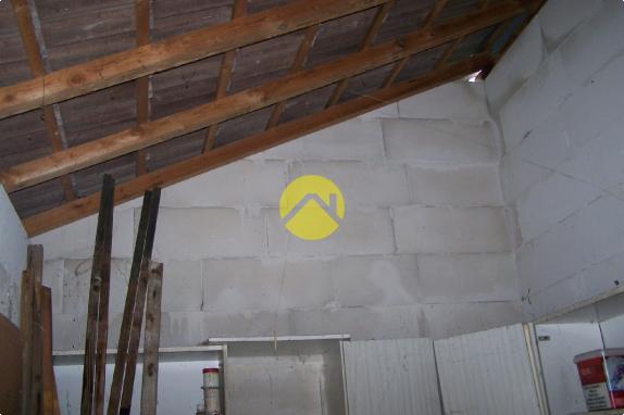 UN PETIT COIN DE JARDIN AU CALME 