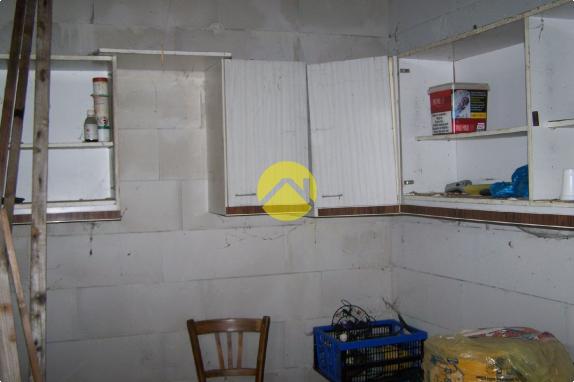 UN PETIT COIN DE JARDIN AU CALME 