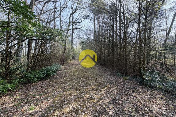 Étangs en pleine nature