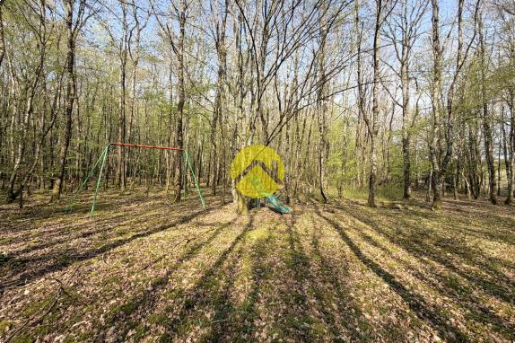 Étangs en pleine nature