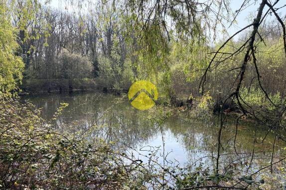 Étangs en pleine nature
