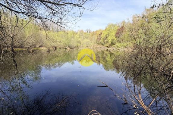 Étangs en pleine nature