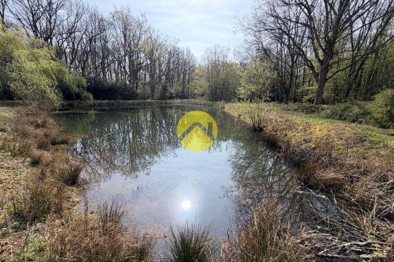 Étangs en pleine nature