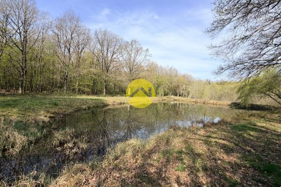 Étangs en pleine nature
