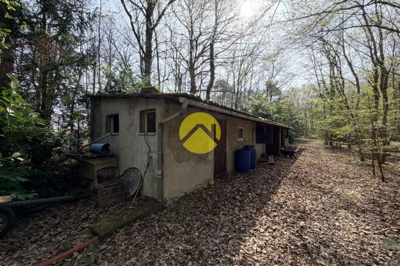 Étangs en pleine nature