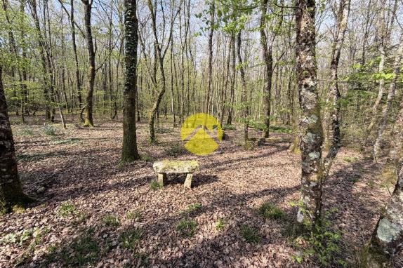 Étangs en pleine nature