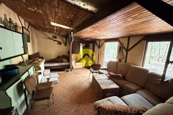 Étangs en pleine nature