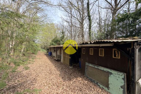 Étangs en pleine nature