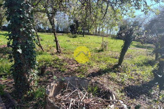 3ch jardin 2379m² maison + grange