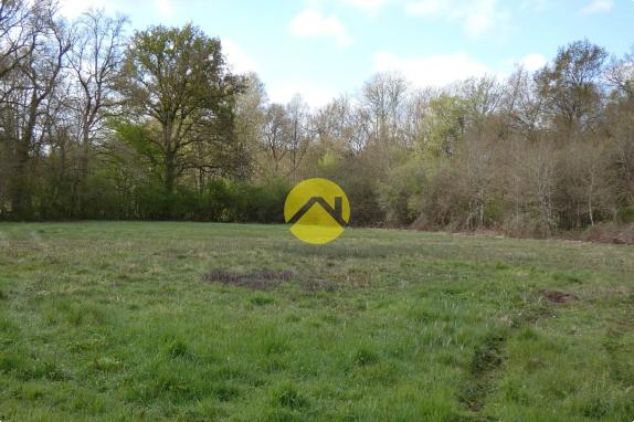 BELLE PROPRIETE 20 HA