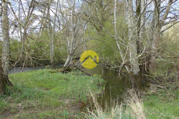 BELLE PROPRIETE 20 HA