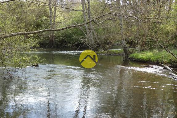 BELLE PROPRIETE 20 HA