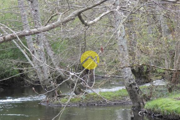 BELLE PROPRIETE 20 HA