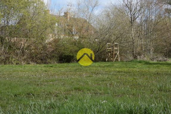 IMMEUBLE DE RAPPORTS