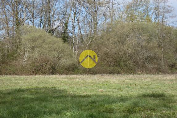 BELLE PROPRIETE 20 HA