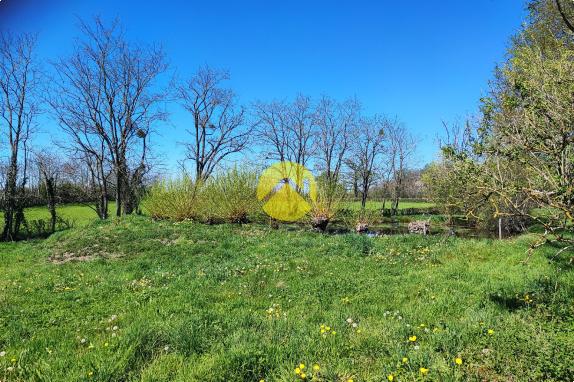 Maison de 55mm² avec un plan d'eau.