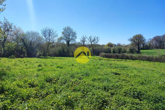 Maison de 55mm² avec un plan d'eau.