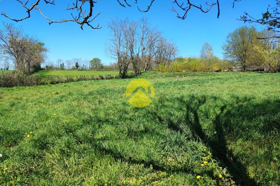 Maison de 55mm² avec un plan d'eau.