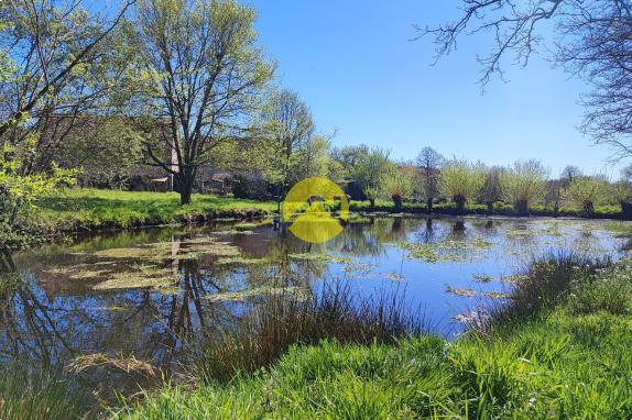Maison de 55mm² avec un plan d'eau.