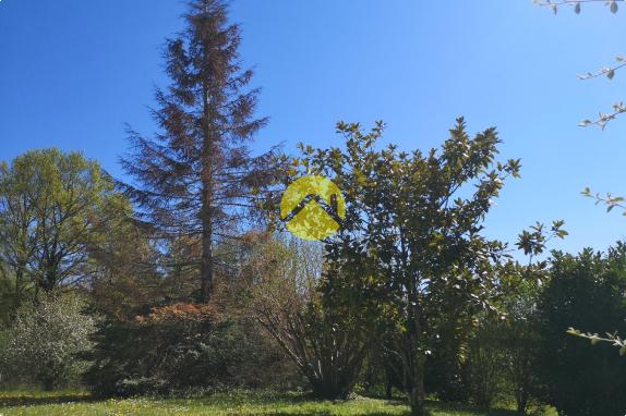 MAISON DE PLAIN-PIED