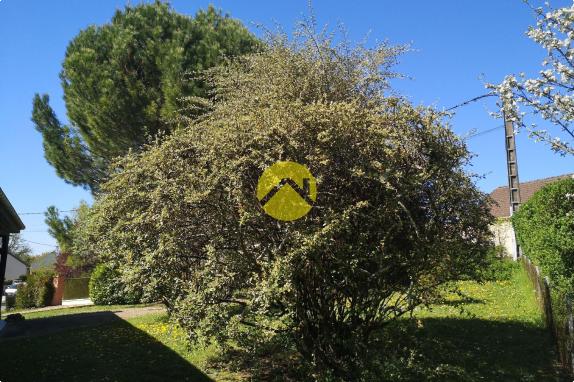 MAISON DE PLAIN-PIED