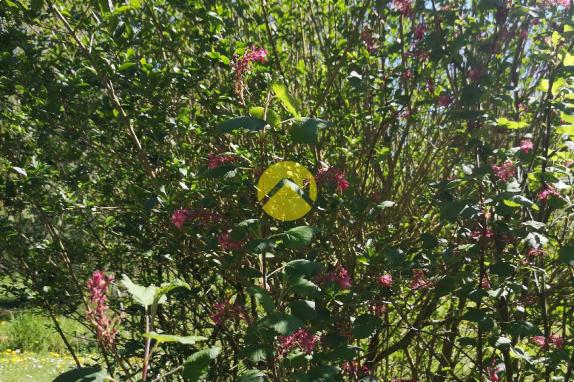 MAISON DE PLAIN-PIED