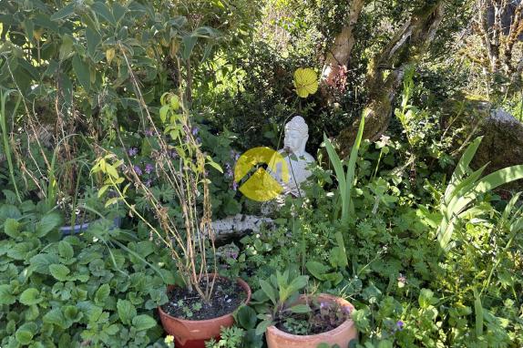 ANCIENNE MAISON EN PIERRE ET PARC 