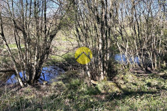 ANCIENNE MAISON EN PIERRE ET PARC 