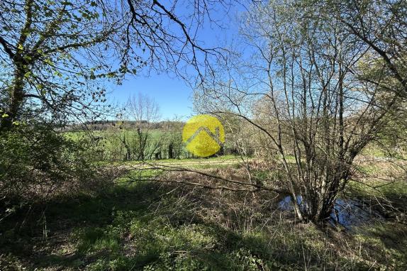 ANCIENNE MAISON EN PIERRE ET PARC 