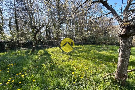 ANCIENNE MAISON EN PIERRE ET PARC 