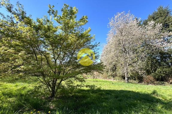 ANCIENNE MAISON EN PIERRE ET PARC 