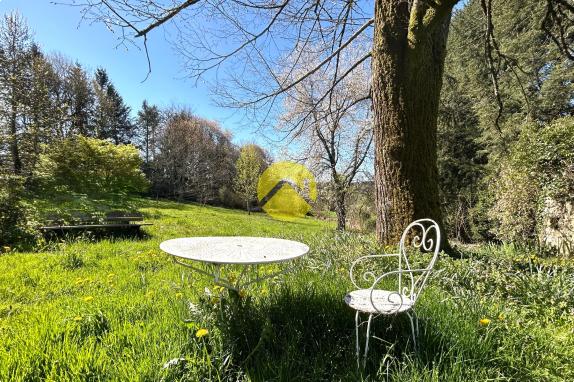 ANCIENNE MAISON EN PIERRE ET PARC 