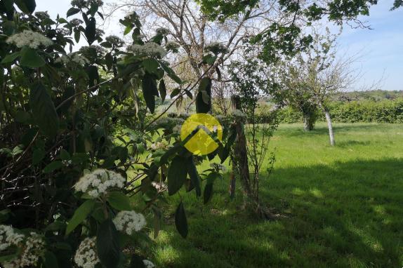 MAISON AVEC DEPENDANCE