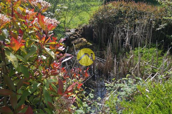 MAISON AVEC DEPENDANCE